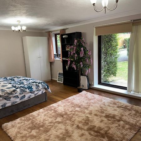 Stunning 2 Bedroom With Garden Sleep 6 Лондон Екстер'єр фото